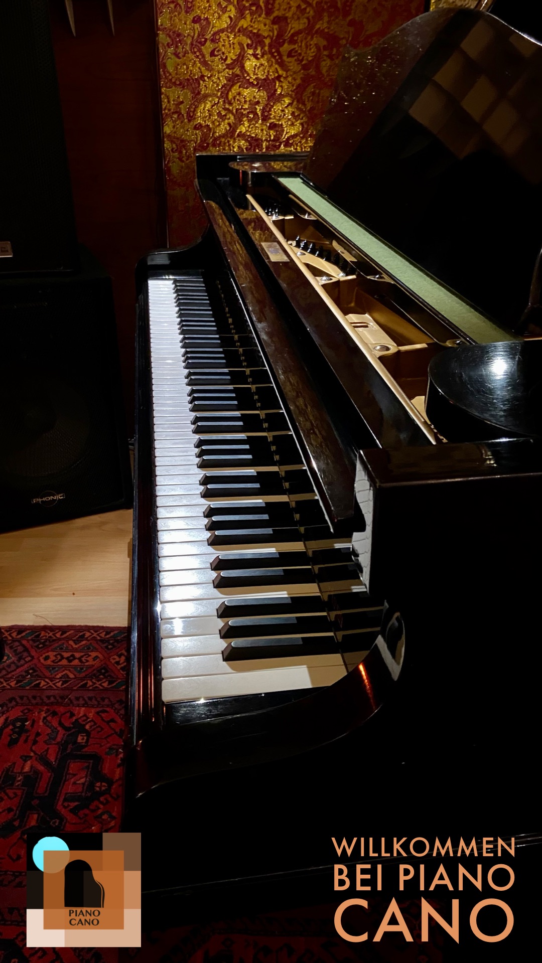 Piano-Cano-Bechstein