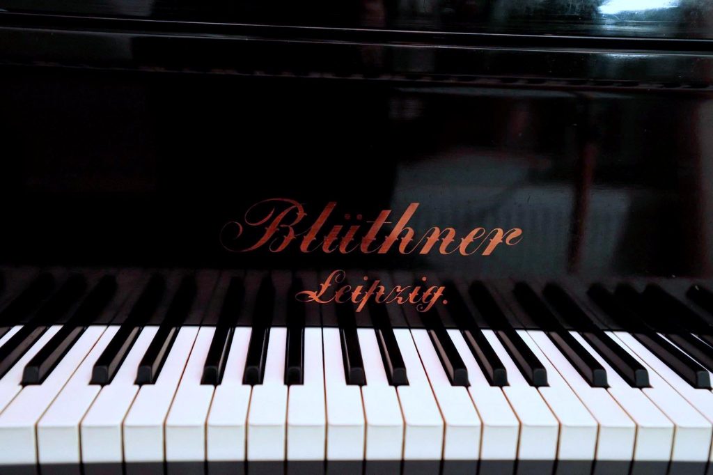 Piano-Cano-Bluethner